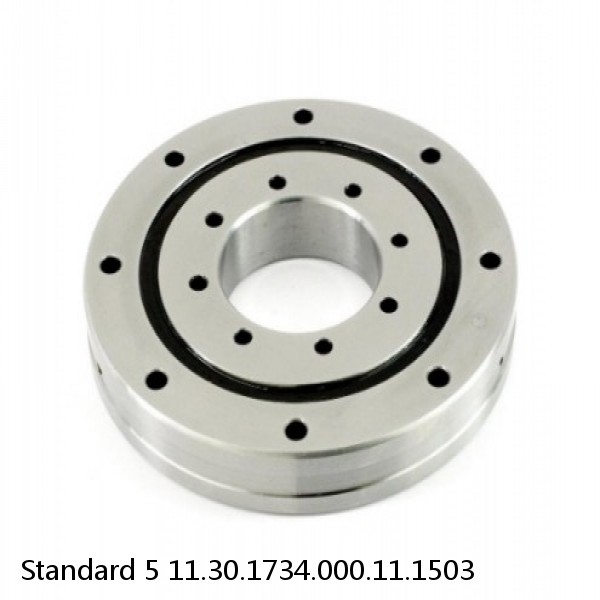 11.30.1734.000.11.1503 Standard 5 Slewing Ring Bearings