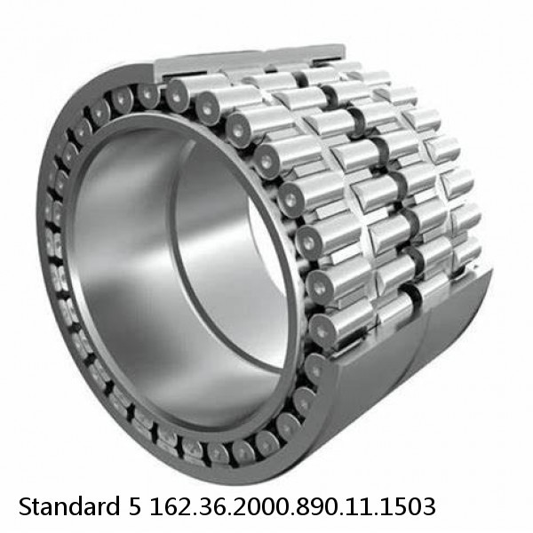 162.36.2000.890.11.1503 Standard 5 Slewing Ring Bearings