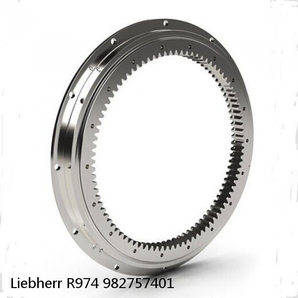 982757401 Liebherr R974 Slewing Ring