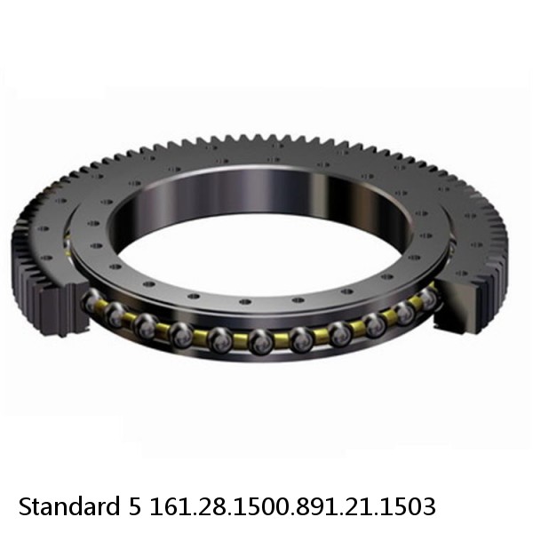 161.28.1500.891.21.1503 Standard 5 Slewing Ring Bearings