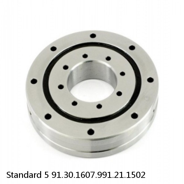 91.30.1607.991.21.1502 Standard 5 Slewing Ring Bearings