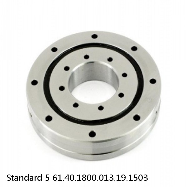 61.40.1800.013.19.1503 Standard 5 Slewing Ring Bearings