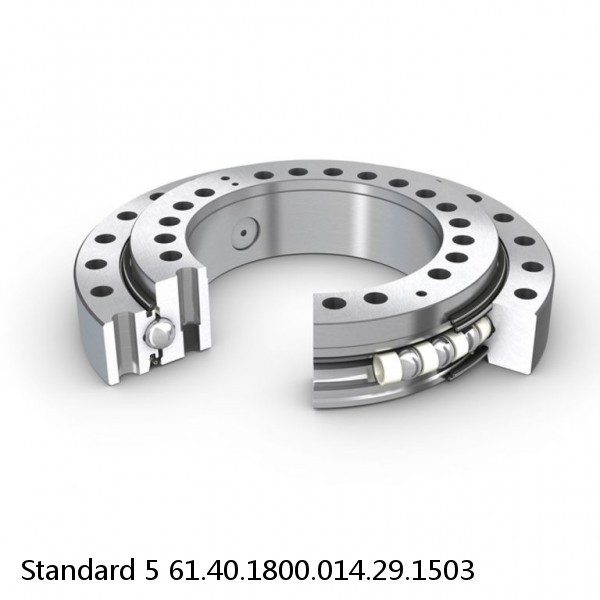 61.40.1800.014.29.1503 Standard 5 Slewing Ring Bearings