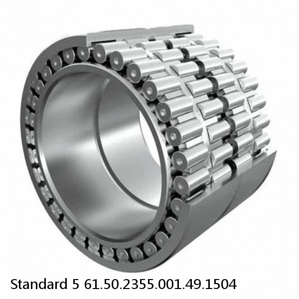 61.50.2355.001.49.1504 Standard 5 Slewing Ring Bearings