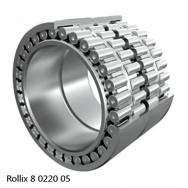 8 0220 05 Rollix Slewing Ring Bearings