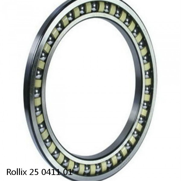 25 0411 01 Rollix Slewing Ring Bearings