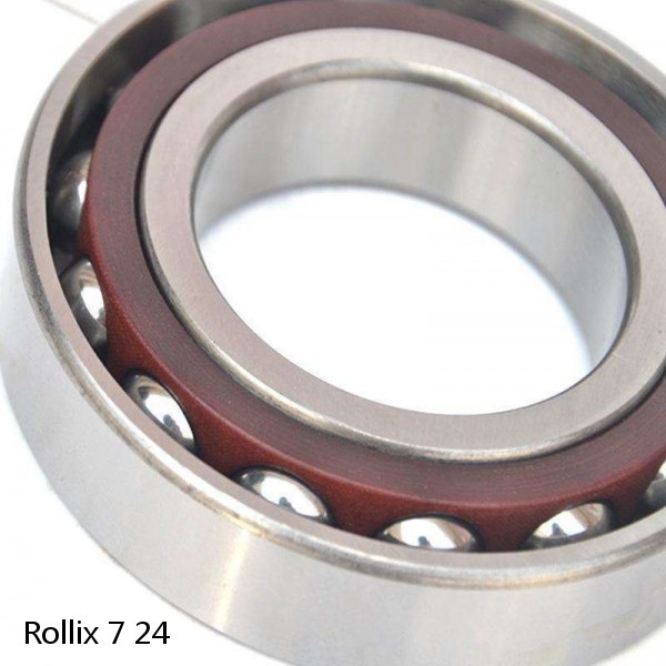 7 24 Rollix Slewing Ring Bearings