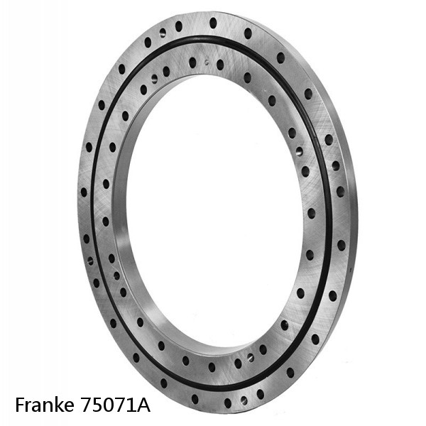 75071A Franke Slewing Ring Bearings