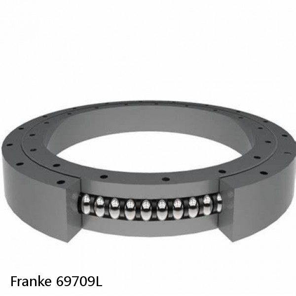 69709L Franke Slewing Ring Bearings