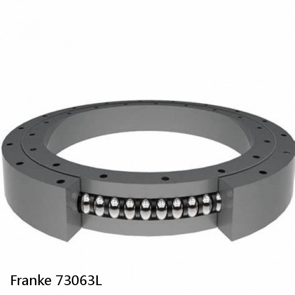 73063L Franke Slewing Ring Bearings