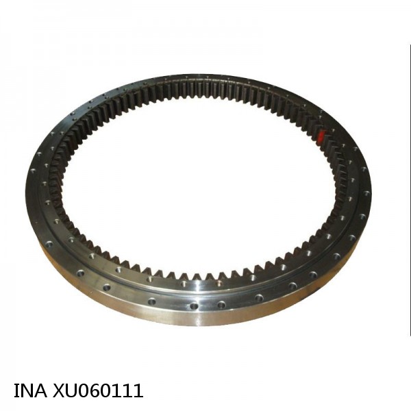 XU060111 INA Slewing Ring Bearings