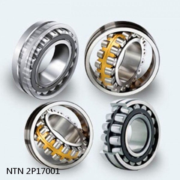 2P17001 NTN Spherical Roller Bearings