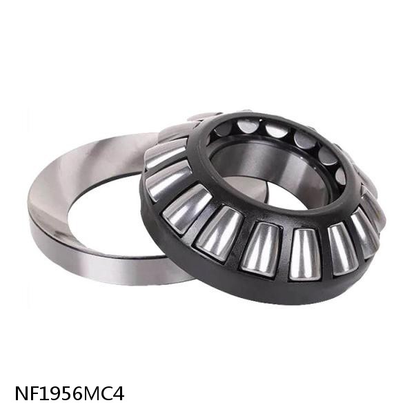 NF1956MC4 Complex Bearings