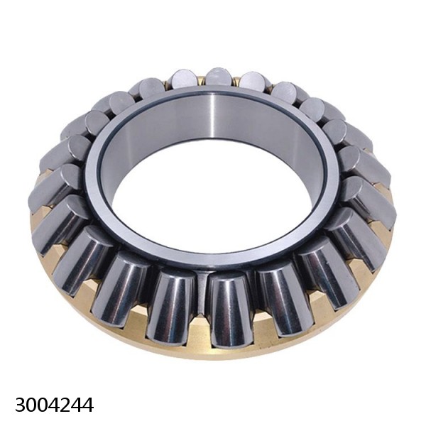 3004244 Cylindrical Roller Bearings