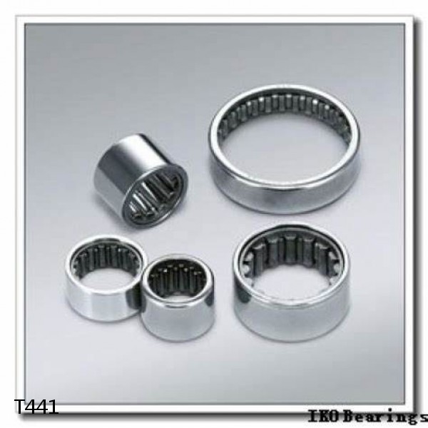 T441 Needle Aircraft Roller Bearings